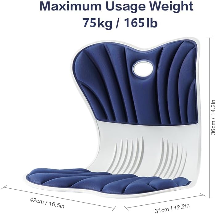 SpineAlign Back Support