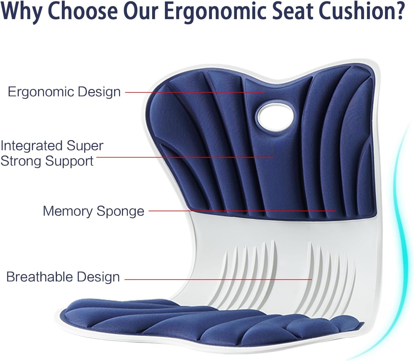 SpineAlign Back Support