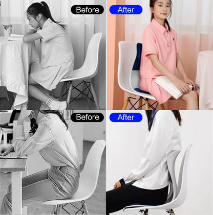 SpineAlign Back Support