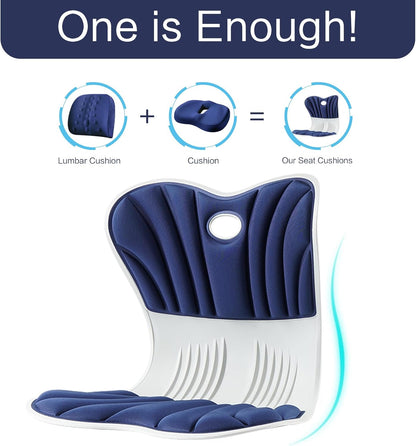 SpineAlign Back Support