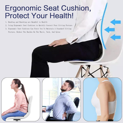 SpineAlign Back Support