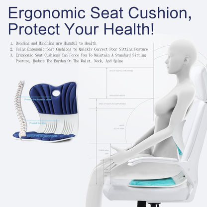 SpineAlign Back Support