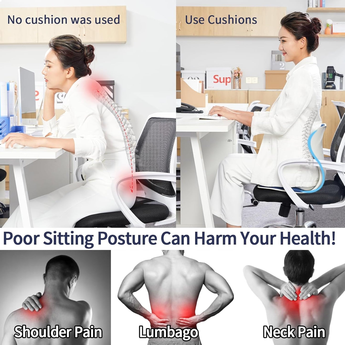 SpineAlign Back Support